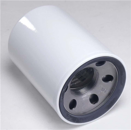 Replacement Filter for Western E0201V1R03