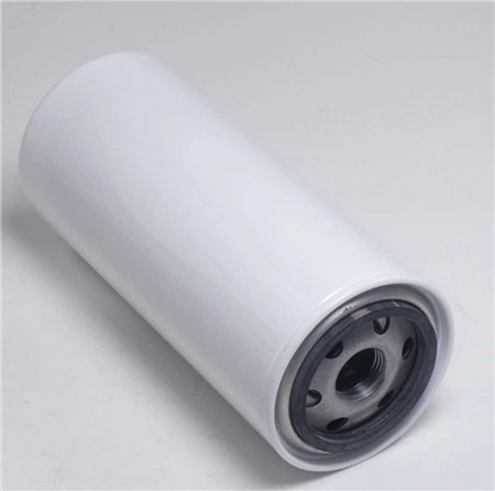 Replacement Filter for Western E0121V2R03